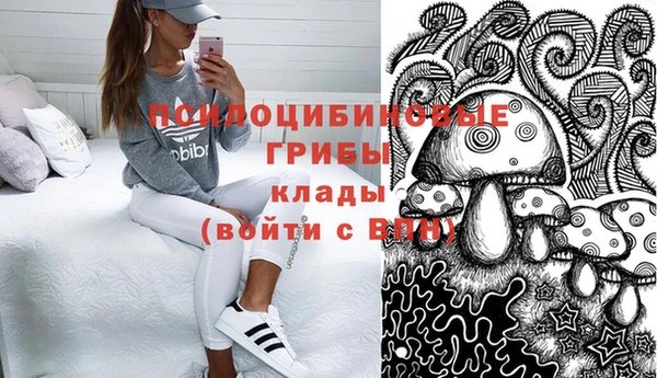 амф Кинешма