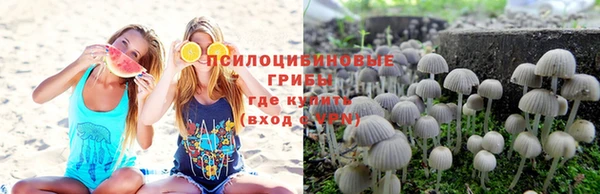 амф Кинешма