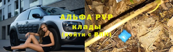 амф Кинешма